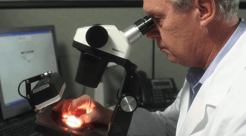 GIA Gemological Laboratory by GIA